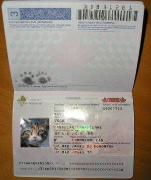 Canadian store dog passport