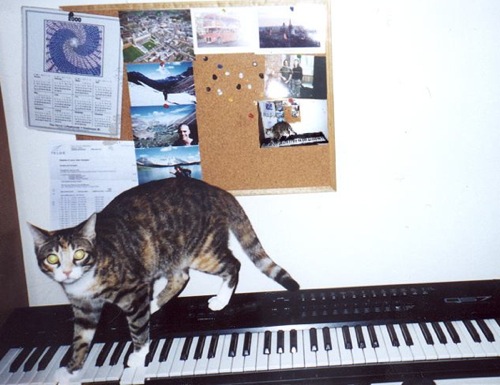 Recursive Cat